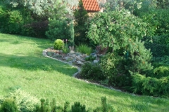 DSCF0468