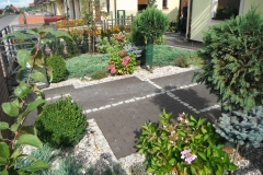 DSCF1175